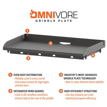 Blackstone 28” Deep Drop-in Griddle with Hood