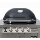 Primo Grill – High-Performance Ceramic Kamado, Oval Design, BBQ & Smoker